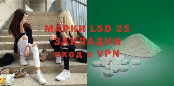 прущие грибы Лагань