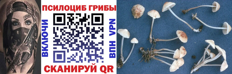 Галлюциногенные грибы GOLDEN TEACHER  маркетплейс официальный сайт  KRAKEN маркетплейс  Юрюзань  наркошоп 